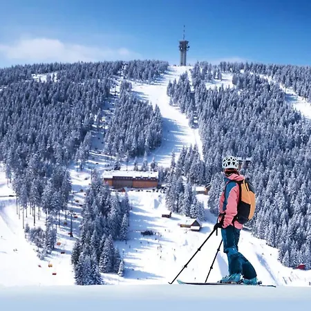 شقة Klinovec Loučná pod Klínovcem